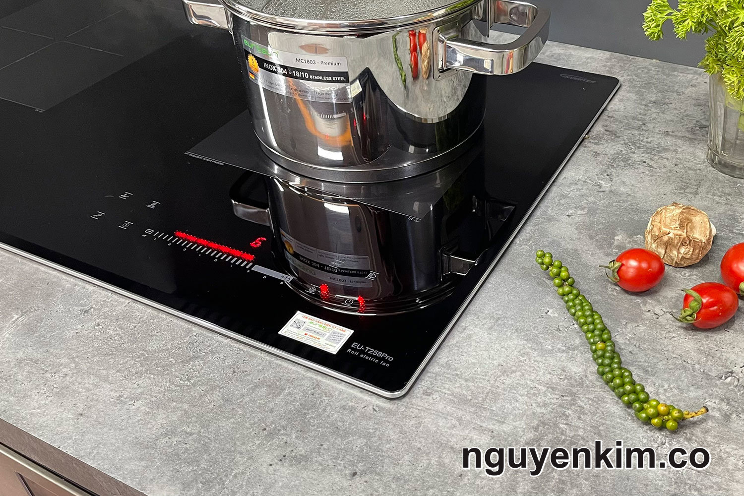 bếp điện điện từ