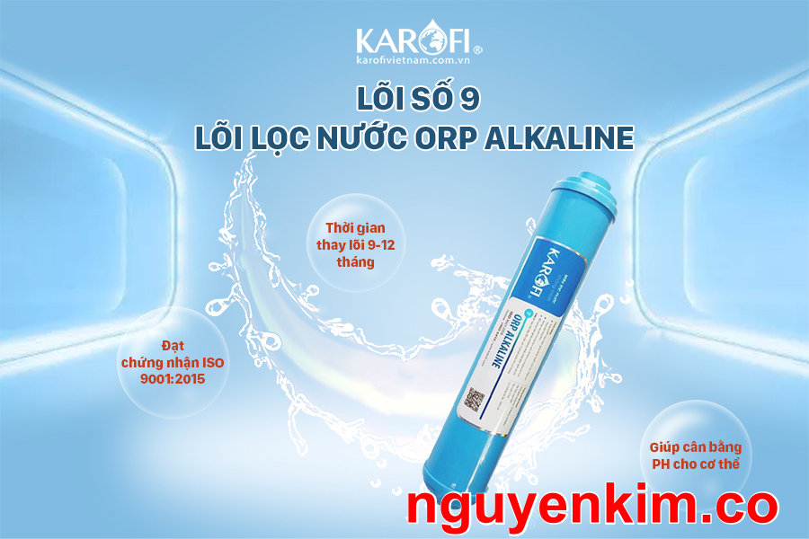 Lõi chức năng Alkaline