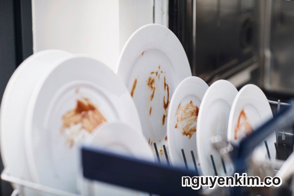 sửa máy rửa chén Electrolux