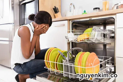 sửa máy rửa chén