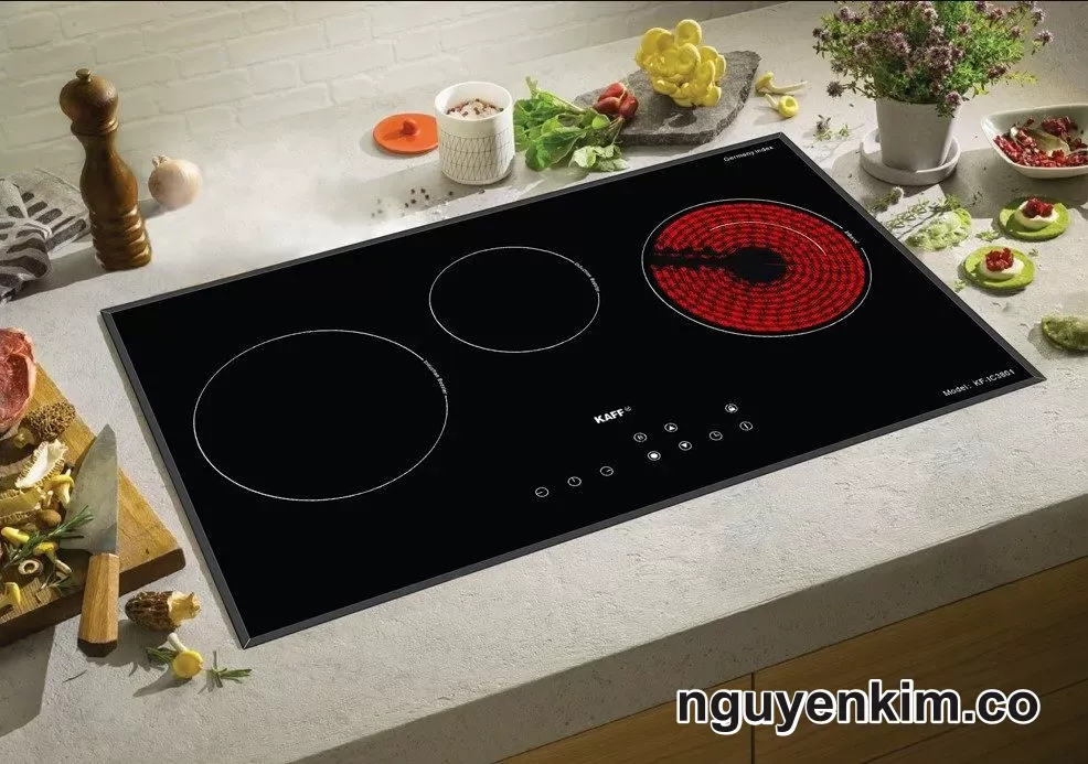 bếp điện điện từ