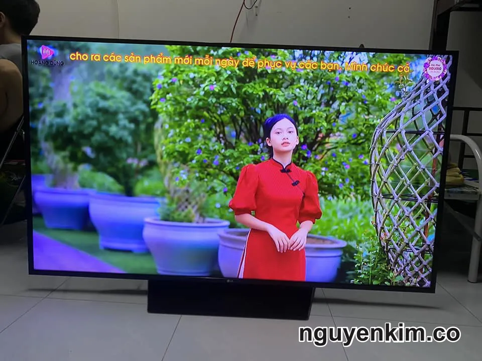 Tivi LG 65 Inch Siêu To Siêu Mỏng - Mua Tivi Tại Nguyễn Kim