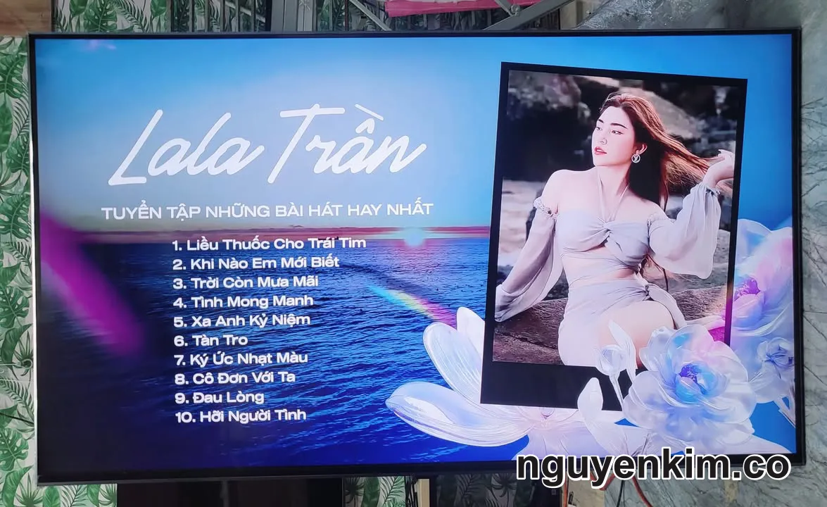 Tivi LG Nanocell 50 Inch Màn Hình 4K Giọng Nói Model 50nano86