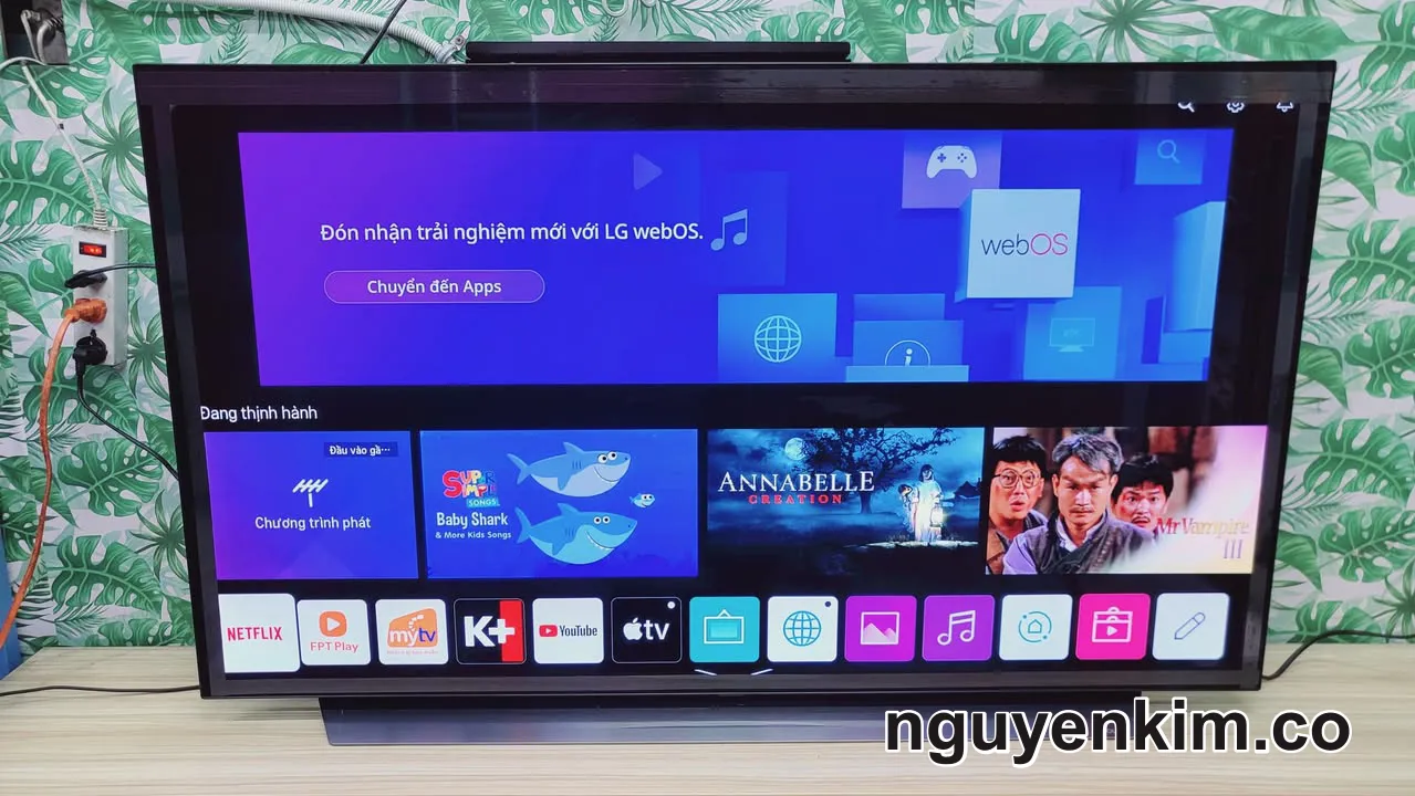 Tivi OLED LG 55 Inch Màn Hình 4K Giọng Nói - Mua TIVI cũ tại Nguyễn Kim