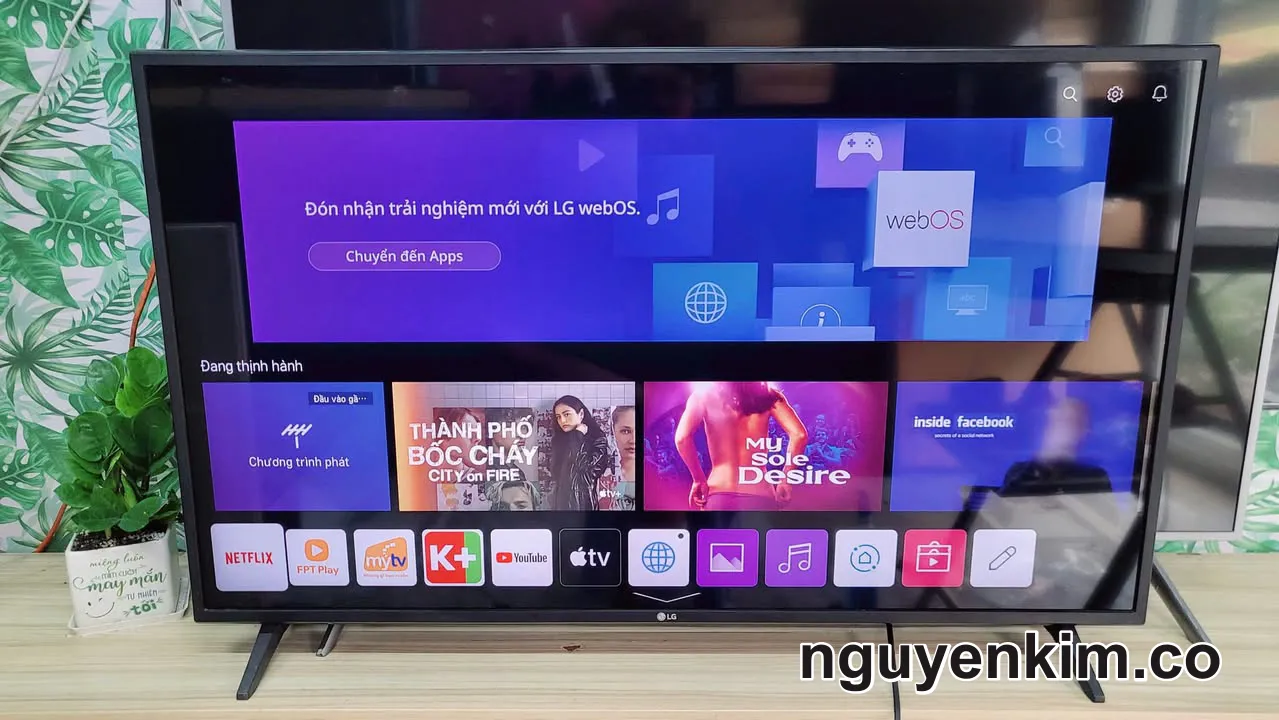 Thanh Lý Lô 10 Tivi LG 43 Inch Màn Hình 4K Chuột Bay Giọng Nói- Mua TV