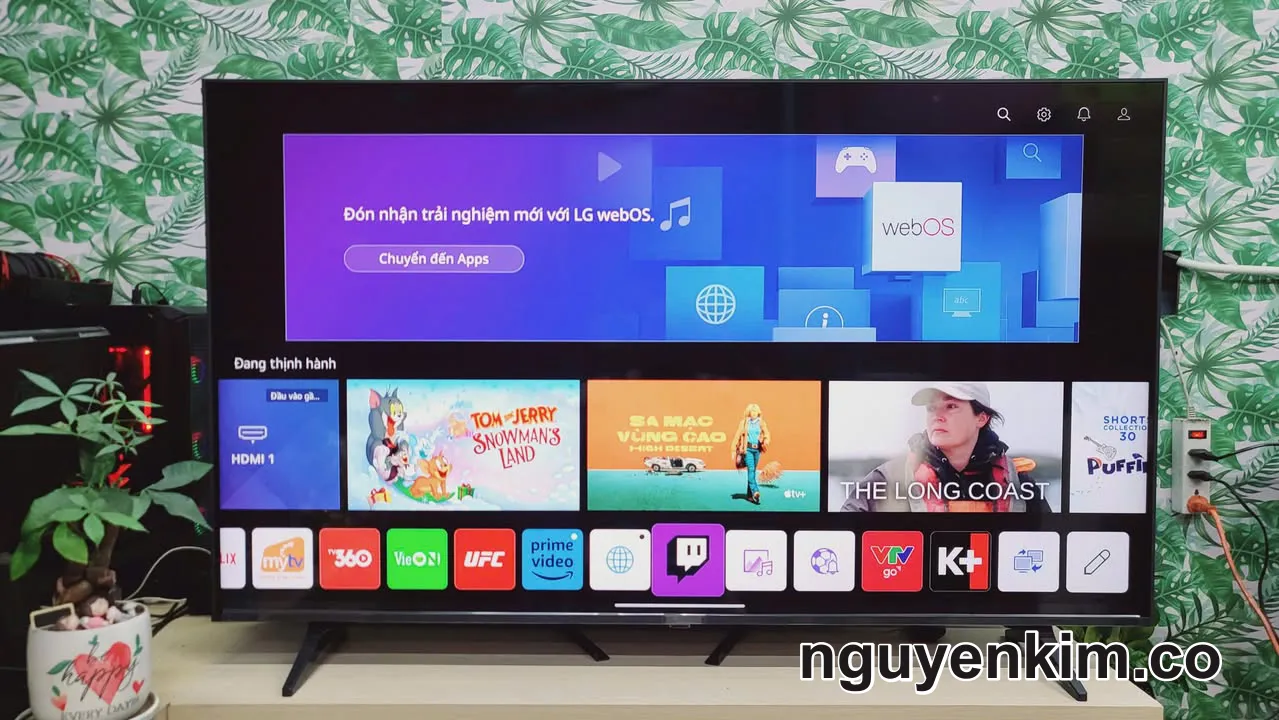 Tivi LG Nanocell 55 Inch Màn Hình 4K Giọng Nói , Model 55NANO75