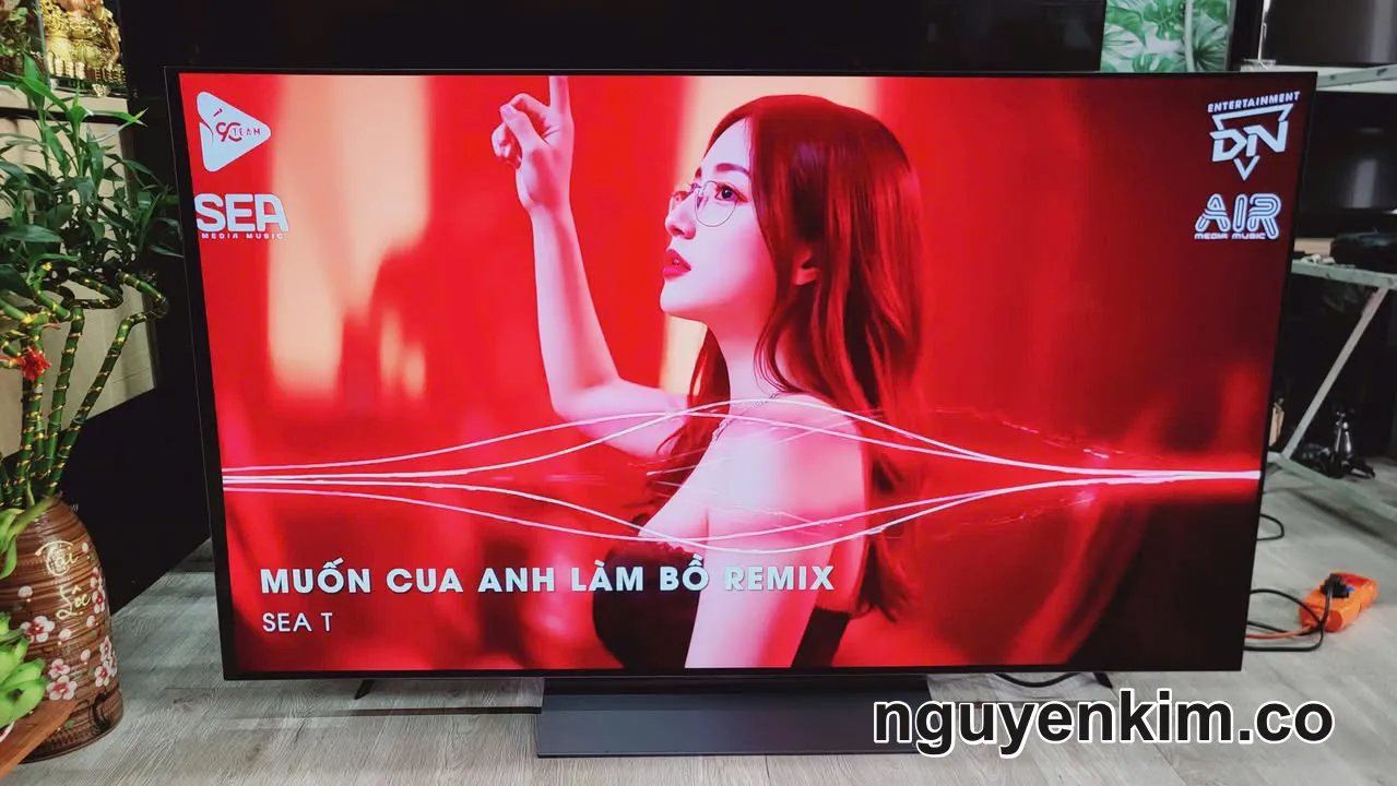 Tivi LG Oled 55 Inch Màn Hình 4K Giọng Nói , Model 55C2 - Mua TV Cũ