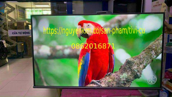 Android Tivi TCL 4K 55 inch 55A8/55P8